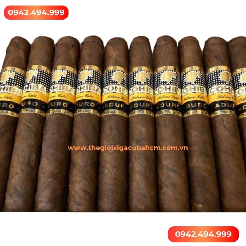 XÌ GÀ COHIBA   Maduro 5 Secretos hộp 10 điếu thumb
