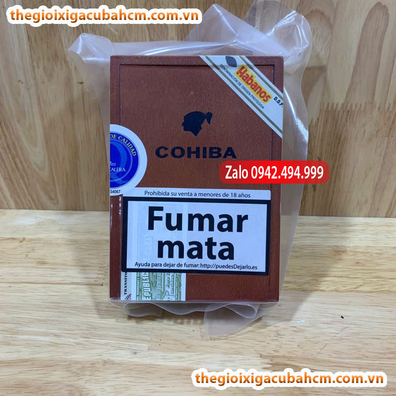 XÌ GÀ COHIBA Siglo VI hộp 10 điếu, cohiba siglo 6 hộp 10, cohiba siglo 6 hộp gỗ