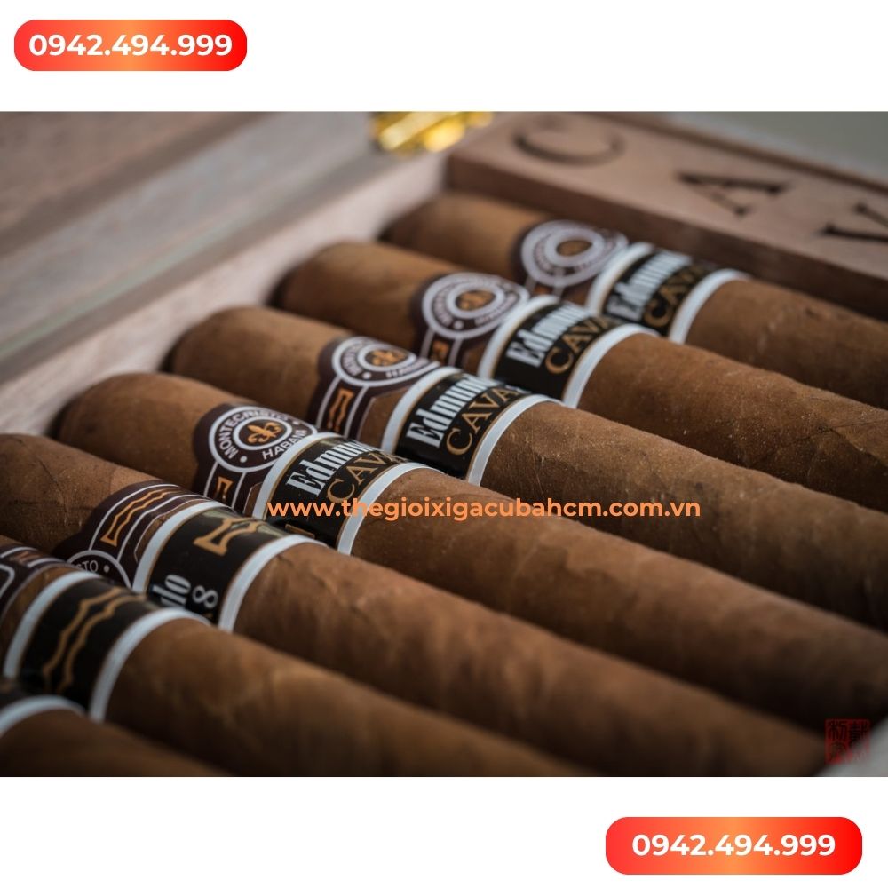 Xì gà Montecristo Edmundo Cava8 hộp 20 điếu