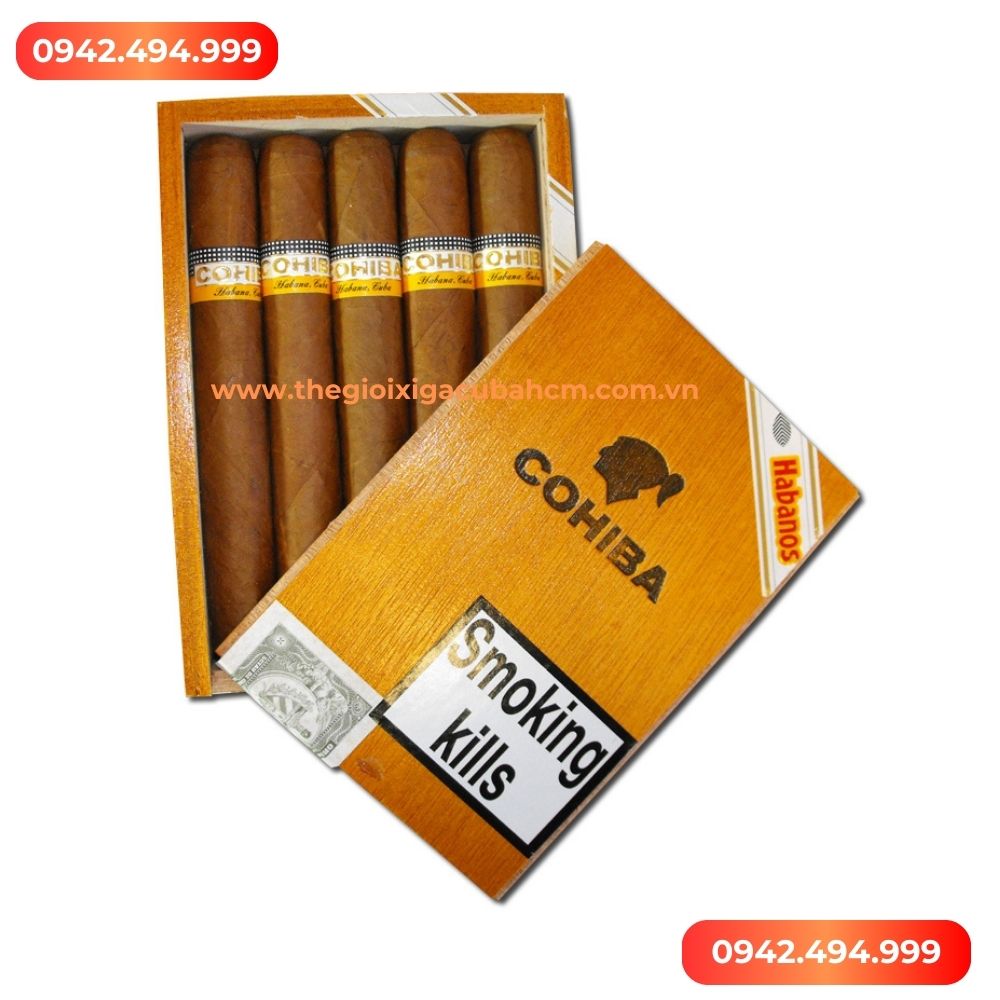 XÌ GÀ COHIBA Siglo 6 hộp 10 điếu