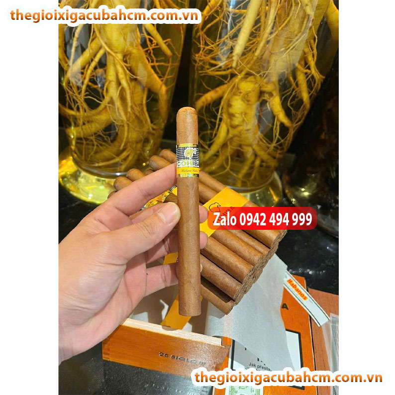 XÌ GÀ COHIBA SIGLO 2 HÀNG CUBA , XÌ GÀ COHIBA SIGLO II HÀNG CUBA