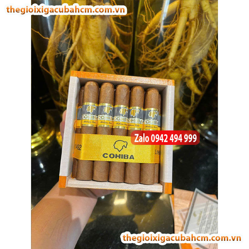 XÌ GÀ COHIBA SIGLO 2 HÀNG CUBA , XÌ GÀ COHIBA SIGLO II HÀNG CUBA